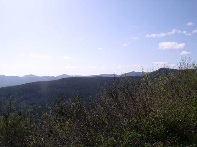 4.30.06 Hamilton Mountain 085 